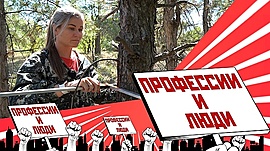 Лесопатолог • Профессии и люди, выпуск от 21 августа 2024