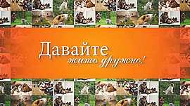 Мини-ферма в центре города, непростая судьба мишки Бэрри и почему волгоградцы мечтают брать на работу своих питомцев • Давайте жить дружно, выпуск от 17 января